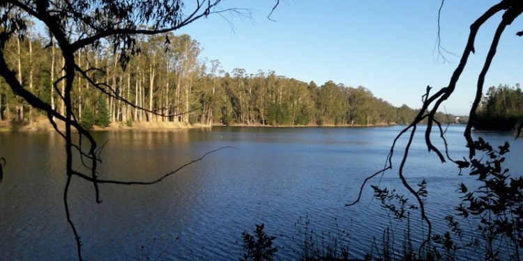 Esval suspende temporalmente uso de agua de Laguna La Luz pero evalúa nuevas extracciones