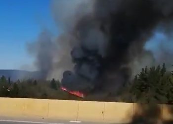 Valparaíso en alerta roja por incendio forestal descontrolado que afecta al sector de cuesta Balmaceda