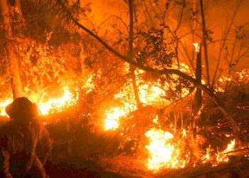 Joven de 17 años es detenido en Valparaíso por presunto intento de incendio