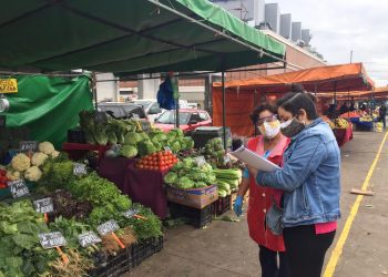 Realizan segundo operativo para supervisar funcionamiento de la feria de avenida Argentina en Valparaíso