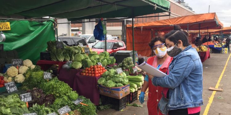 Realizan segundo operativo para supervisar funcionamiento de la feria de avenida Argentina en Valparaíso