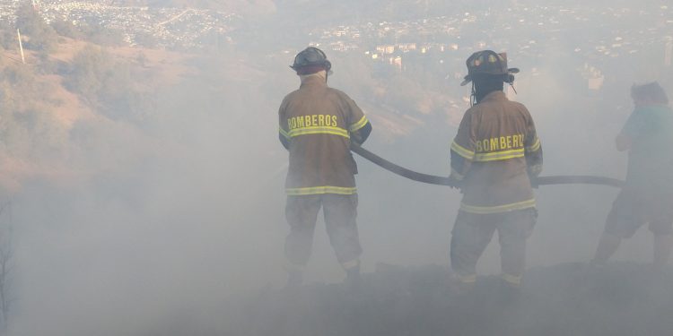 Viña del Mar y Quilpué con alerta roja por incendio forestal