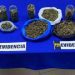 Dos personas que vendían cannabis a través de las redes sociales son detenidas en La Ligua