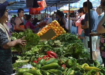 Fondo de Desarrollo para las Ferias Libres en la Región de Valparaíso es lanzado por Sercotec