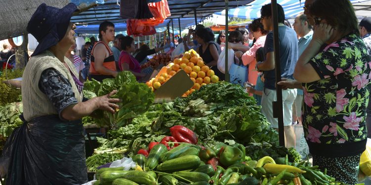 Fondo de Desarrollo para las Ferias Libres en la Región de Valparaíso es lanzado por Sercotec