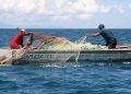 Piden renuncia de subsecretario de Pesca luego de retiro de bono para pescadores artesanales