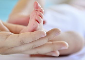 Proyecto de postnatal de emergencia fue declarado admisible por la comisión mixta