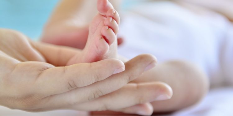 Proyecto de postnatal de emergencia fue declarado admisible por la comisión mixta