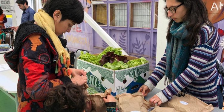 Decana de Salud de la UPLA propone aplicar una estrategia alimentaria integral en la entrega de cajas con alimentos