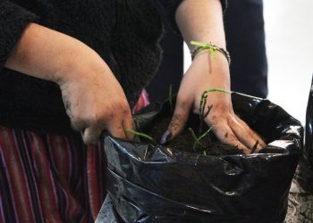 Taller multidisciplinario para estudiantes de cuarto medio es ofrecido por la Universidad de Playa Ancha
