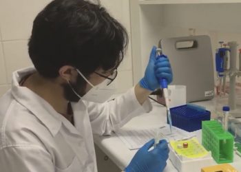 Universidades regionales han apoyado a miles de personas durante la pandemia de Covid-19