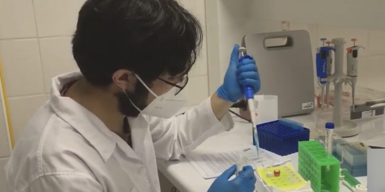 Universidades regionales han apoyado a miles de personas durante la pandemia de Covid-19