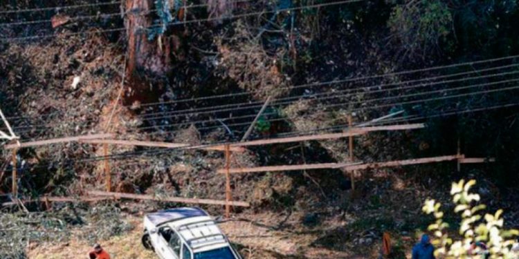 Alcaldesa de Viña del Mar oficia a la Gobernación de Valparaíso por toma de terreno en sector alto de la ciudad