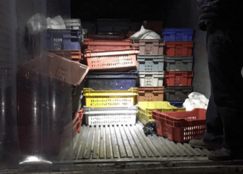 Detectan camión con cargamento ilegal de 3 toneladas de reineta en Terminal Pesquero del Estero Marga Marga