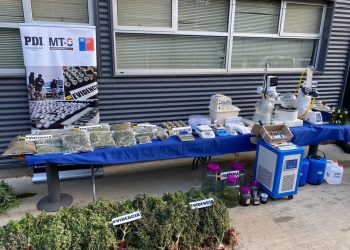 En prisión preventiva quedó sujeto sorprendido con laboratorio clandestino de productos derivados de la cannabis en Viña del Mar