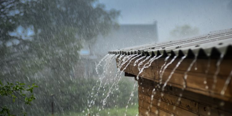 Aprenda cómo desinfectar el agua de lluvia y aprovecharla para el consumo