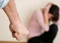 Feministas llaman a aunar esfuerzos para levantar casas de acogida para mujeres víctimas de violencia durante la pandemia ﻿