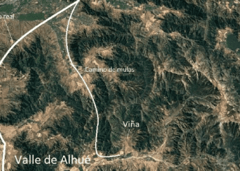 Investigación sitúa a Chile como el país donde se encuentran las pruebas más antiguas de elaboración del pisco