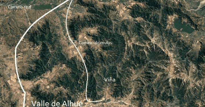 Investigación sitúa a Chile como el país donde se encuentran las pruebas más antiguas de elaboración del pisco