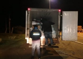 En control carretero: Sernapesca y Carabineros decomisan 7,5 toneladas de reineta, merluza y loco extraídos ilegalmente