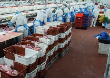 Seguimiento del Plan de Emergencia del Gobierno: informe del PS deja de manifiesto precarización laboral en el contexto de la pandemia