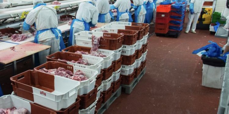 Seguimiento del Plan de Emergencia del Gobierno: informe del PS deja de manifiesto precarización laboral en el contexto de la pandemia