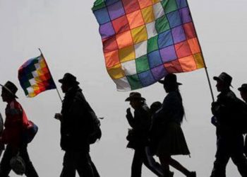 Sala del Senado aprueba en general reforma que establece escaños reservados para pueblos originarios en la Constituyente