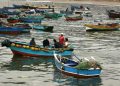 Sernapesca  se reúne de forma virtual con pescadores para avanzar en la facilitación de trámites en contexto de pandemia