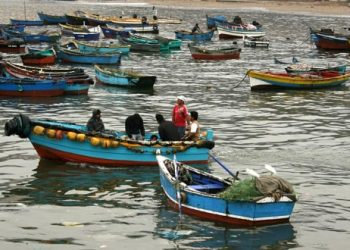 Sernapesca  se reúne de forma virtual con pescadores para avanzar en la facilitación de trámites en contexto de pandemia