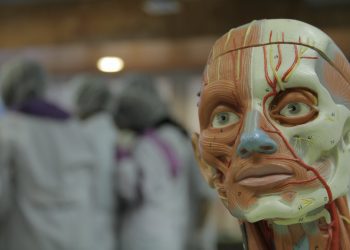 Enseñanza de las ciencias con aportes de distintas disciplinas académicas es promovida por la UPLA