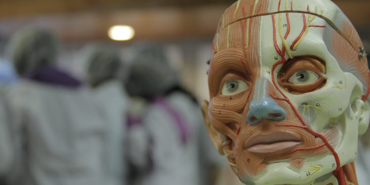 Enseñanza de las ciencias con aportes de distintas disciplinas académicas es promovida por la UPLA