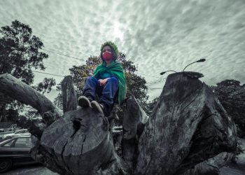 Corte de Apelaciones de Valparaíso acoge a trámite recurso de protección en contra del municipio de Concón por proyecto de pavimentación en Los Romeros