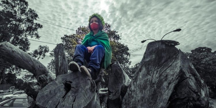 Corte de Apelaciones de Valparaíso acoge a trámite recurso de protección en contra del municipio de Concón por proyecto de pavimentación en Los Romeros