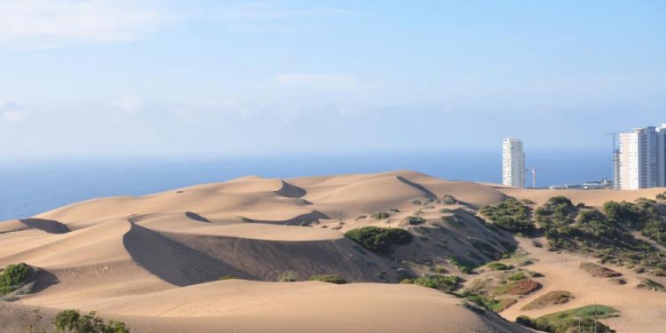 Columna de opinión: «Recursos naturales de Concón se han destruido en los últimos 20 años»