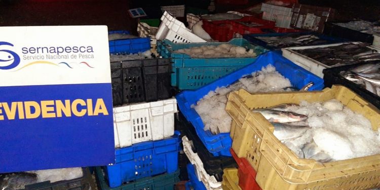 Casi 6 mil kilos de pesca ilegal son incautados tras fiscalización pesquera en la macrozona centro del país