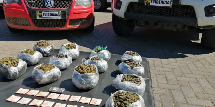 15 mil dosis de cannabis sativa fueron decomisadas en control carretero por la PDI de La Calera