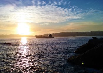 ¿Por qué las mujeres ven más tonos de un mismo color que los hombres?