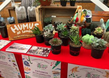 Universidad de Playa Ancha capacitará y difundirá emprendimientos de sus egresados