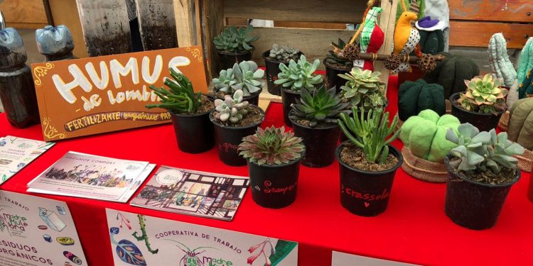 Universidad de Playa Ancha capacitará y difundirá emprendimientos de sus egresados