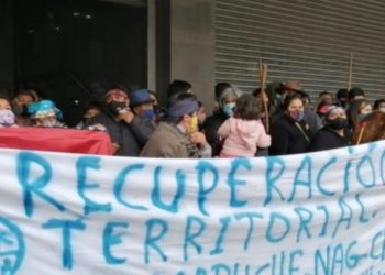 Malleco: comunidades mapuches anuncian inicio de ocupación territorial de predios particulares y forestales