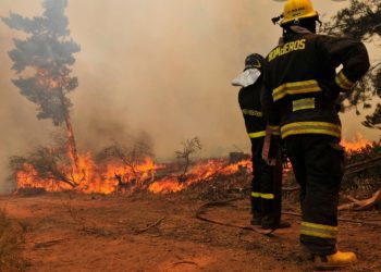 Incendios forestales: diputado Díaz insta al Gobierno a presentar protocolo sanitario para evitar contagio de bomberos y personal de Conaf