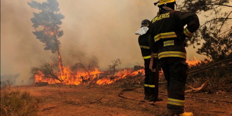 Incendios forestales: diputado Díaz insta al Gobierno a presentar protocolo sanitario para evitar contagio de bomberos y personal de Conaf