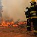 Incendios forestales: diputado Díaz insta al Gobierno a presentar protocolo sanitario para evitar contagio de bomberos y personal de Conaf
