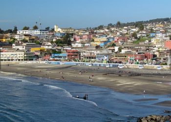 En Cartagena detienen a hombre tras acuchillar a perro y exclama: «Yo los mató y me los como»