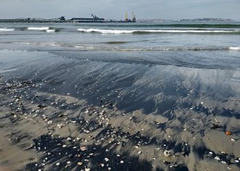 Puchuncaví: por quinto día consecutivo se registra varamiento de carbón en playa de Ventanas