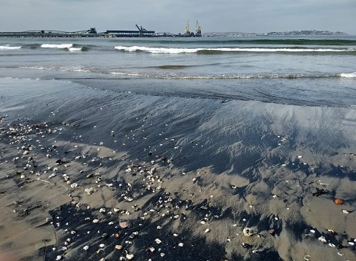 Puchuncaví: por quinto día consecutivo se registra varamiento de carbón en playa de Ventanas