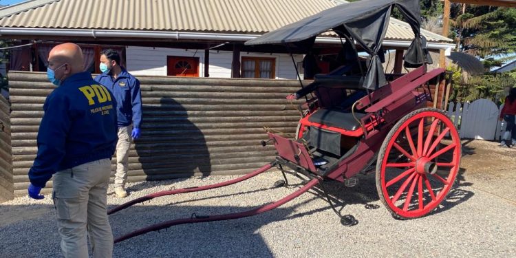 En Quillota encuentran carruaje del siglo XVIII sustraído el 2017 desde museo colonial en San Felipe