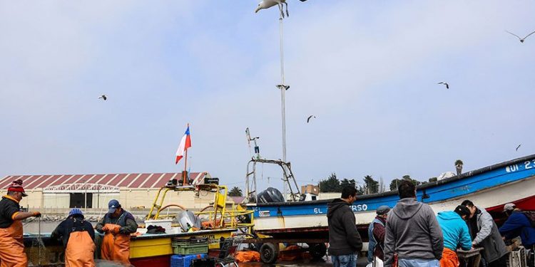 Pescadores de la Región de Valparaíso podrán financiar desde camiones hasta salas de proceso para reactivar labores