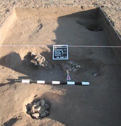 Primer horno prehispánico para la cocción al vapor en Chile Central es evidenciado en estudio liderado por investigador de la UPLA