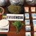 Detienen a tres personas en incautación de cargamento de cannabis en control carretero